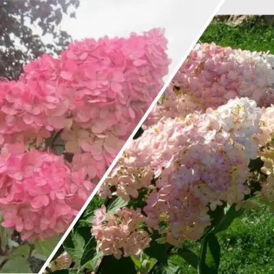 Комплект МНОГОГРАННОСТЬ в Светлогорске