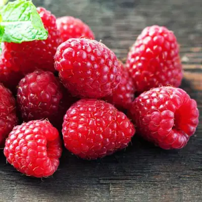 Малина ЭРИКА в Светлогорске