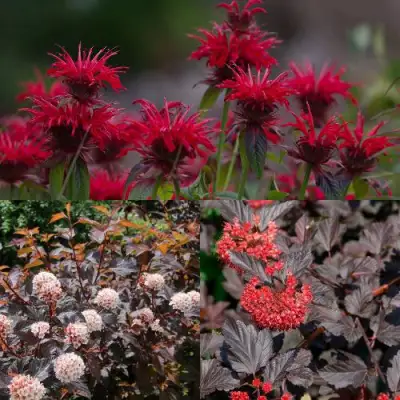 Комплект ОГНЕННЫЙ МИКС в Светлогорске