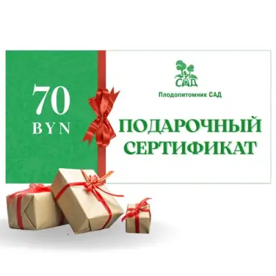 Подарочный сертификат на  70 BYN в Светлогорске