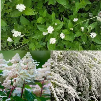 Комплект СКАНДИНАВСКИЙ СТИЛЬ в Светлогорске