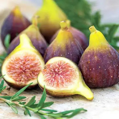 Инжир НИКИТСКИЙ в Светлогорске