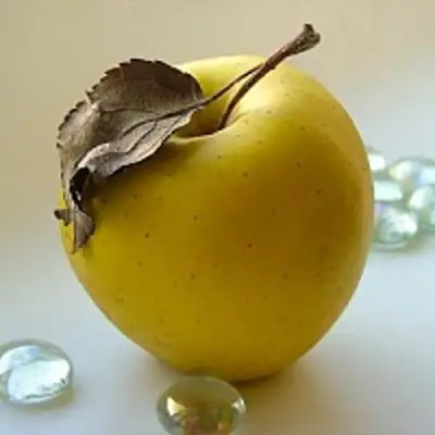 Яблоня АНАНАС в Светлогорске