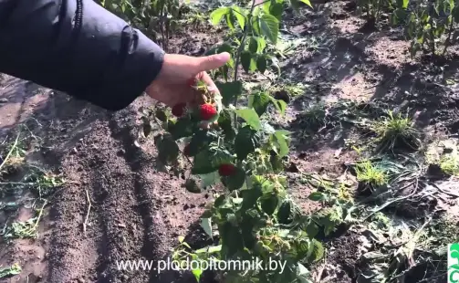 Превью видео