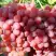 Виноград КИШМИШ КРАСНЫЙ в Светлогорске
