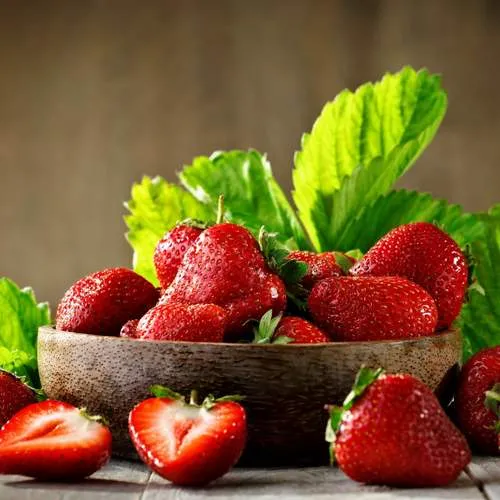 Клубника (земляника садовая) посадка и выращивание на участке Клубника (земляника садовая) посадка и выращивание на участке