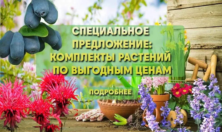 МНОГОЛЕТНИКИ РБ