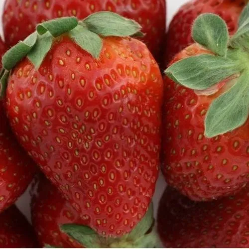 Клубника ФЛАМИНИЯ в Светлогорске