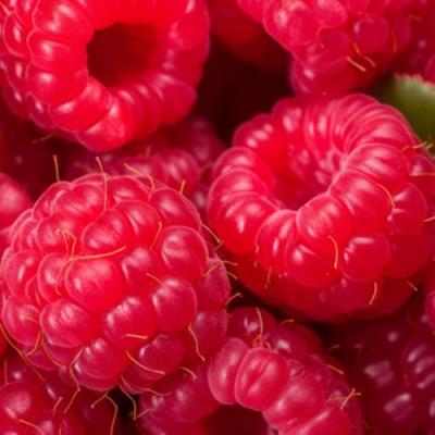 Красная в Светлогорске