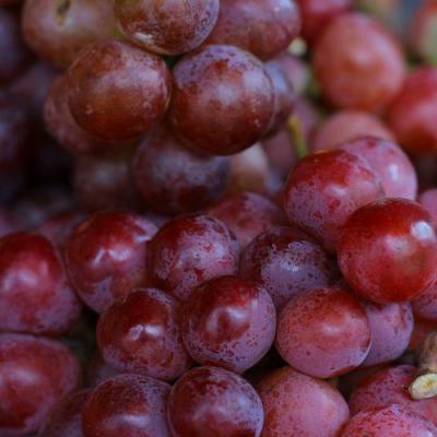 Красный в Светлогорске