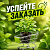 УСПЕЙТЕ ЗАКАЗАТЬ