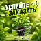 УСПЕЙТЕ ЗАКАЗАТЬ